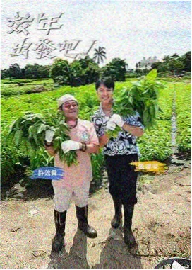奥特八战士降落战场 奥特十勇士